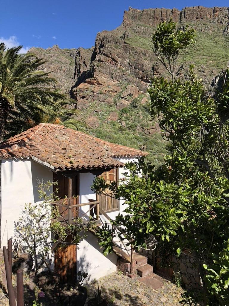 Home2Book El Encanto De La Torre I Санта Крус де Тенерифе Екстериор снимка