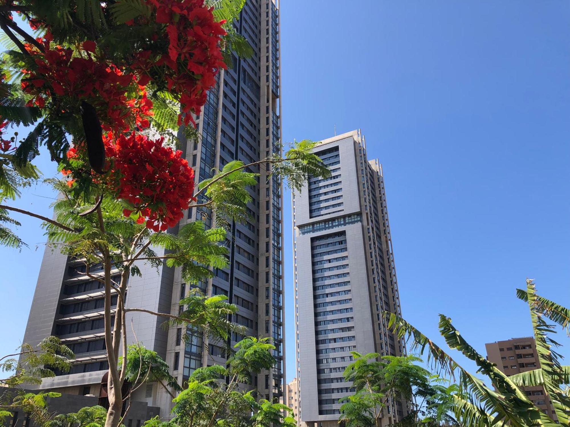 Home2Book El Encanto De La Torre I Санта Крус де Тенерифе Екстериор снимка